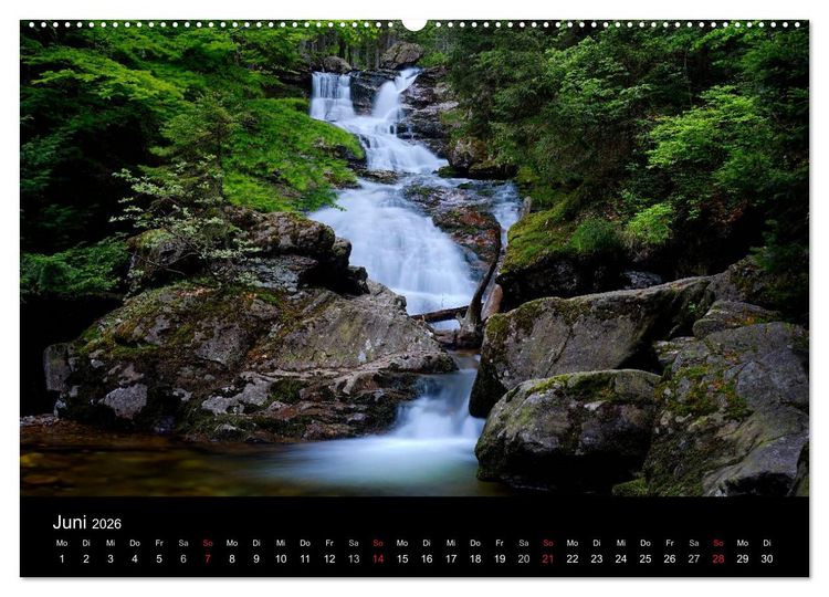 Produktbild: Mysterium Wald (hochwertiger Premium Wandkalender 2026 DIN A2 quer), Kunstdruck in Hochglanz