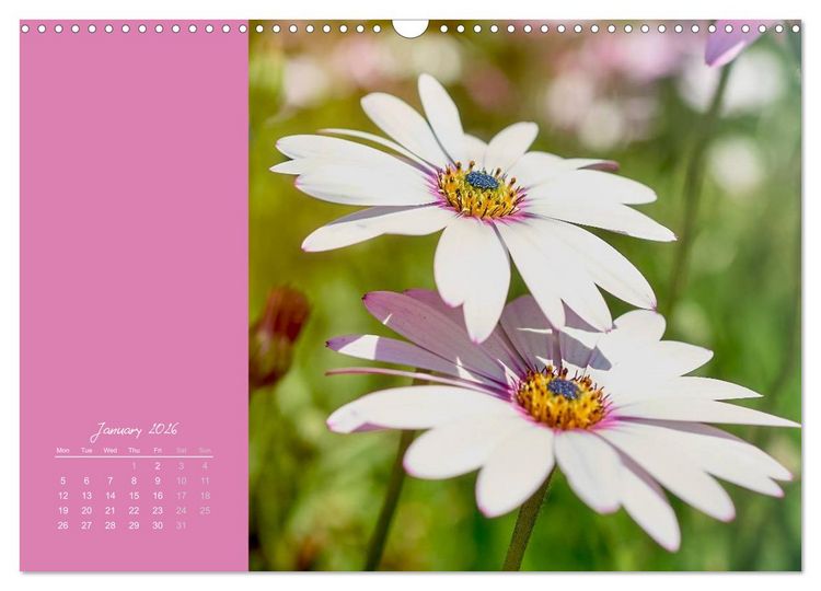 Produktbild: Vibrancy of flowers (Wall Calendar 2026 DIN A3 landscape), CALVENDO 12 Month Wall Calendar