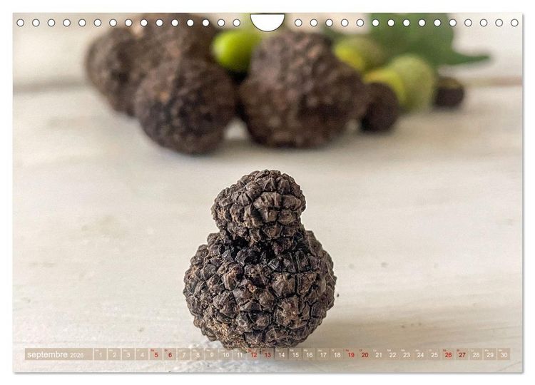 Produktbild: Tr&eacute;sors de truffes fran&ccedil;aises (Calendrier mural 2026 DIN A4 vertical), CALVENDO calendrier mensuel