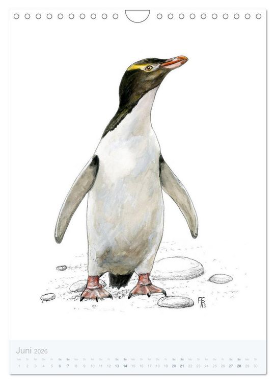 Produktbild: Pinguine - 13 Illustrationen (Wandkalender 2026 DIN A4 hoch), CALVENDO Monatskalender