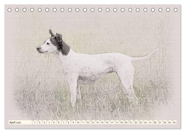 Produktbild: Bodeguero Andaluz 2026 (Tischkalender 2026 DIN A5 quer), CALVENDO Monatskalender