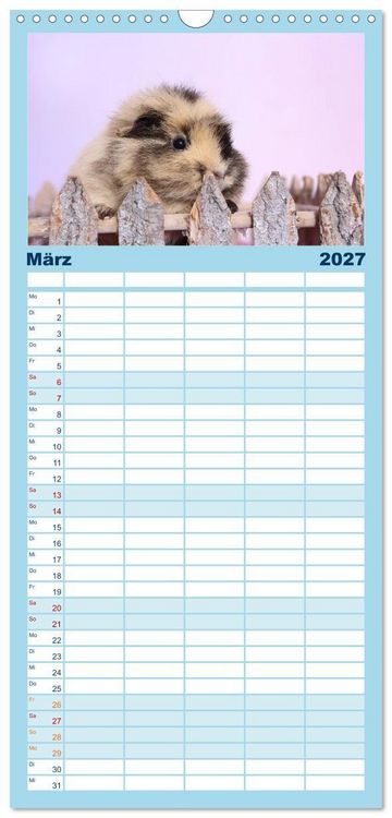 Produktbild: Familienplaner 2027 - Niedliche Meerschweinchen mit 5 Spalten (Wandkalender, 21 x 45 cm) CALVENDO