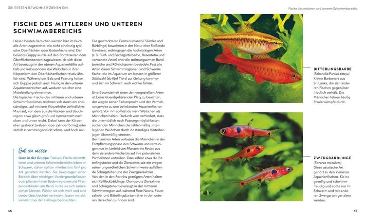 Produktbild: Aquarien - Spa&szlig; f&uuml;r Kinder
