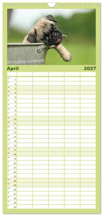 Produktbild: Familienplaner 2027 - Der MOPS-Kalender mit 5 Spalten (Wandkalender, 21 x 45 cm) CALVENDO