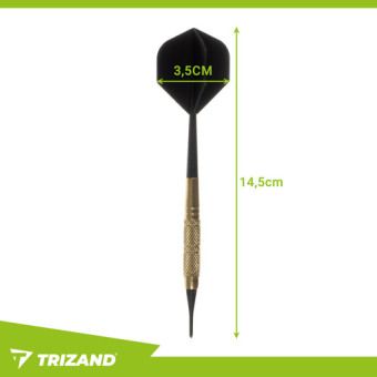 Produktbild: Darts-Set 12-tlg. + Spitzen Trizand 26100