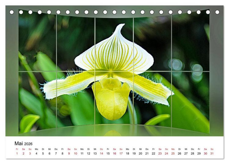 Produktbild: Orchideen Bildergalerie (Tischkalender 2026 DIN A5 quer), CALVENDO Monatskalender