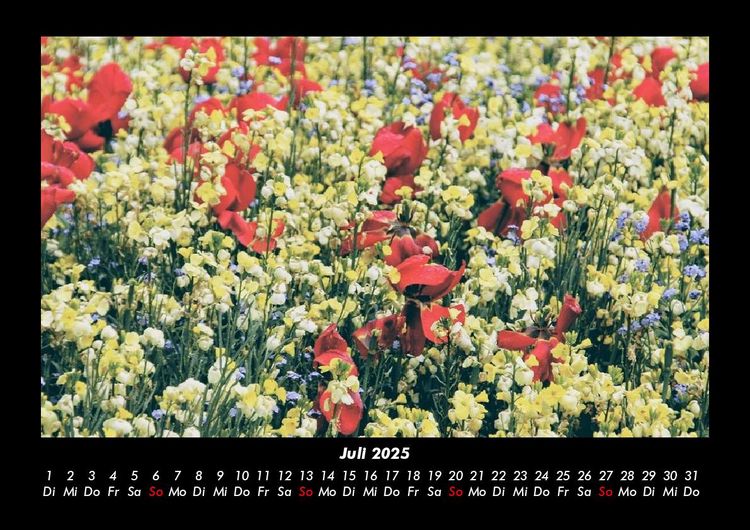 Produktbild: Blumentr&auml;ume 2025 Fotokalender DIN A3