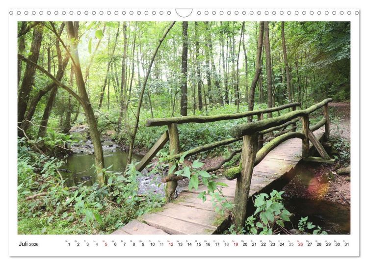 Produktbild: Mein Sehnsuchtsort, der heimische Wald (Wandkalender 2026 DIN A3 quer), CALVENDO Monatskalender