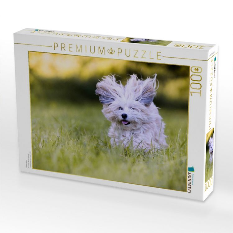 Produktbild: CALVENDO Puzzle Havaneser | 1000 Teile Lege-Gr&ouml;&szlig;e 64x48cm Foto-Puzzle f&uuml;r gl&uuml;ckliche Stunden