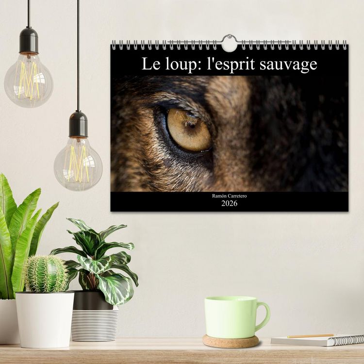Produktbild: Le loup: l'esprit sauvage (Calendrier mural 2026 DIN A4 vertical), CALVENDO calendrier mensuel