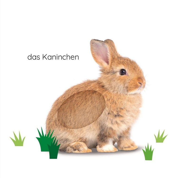 Produktbild: Erstes Lernen F&uuml;hl-Leporello. Haustiere