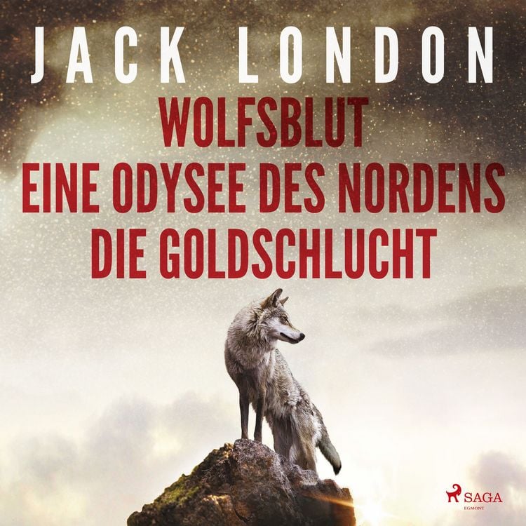 Produktbild: Klassiker to go: Jack London: Wolfsblut, Die Goldschlucht, Eine Odysee des Nordens