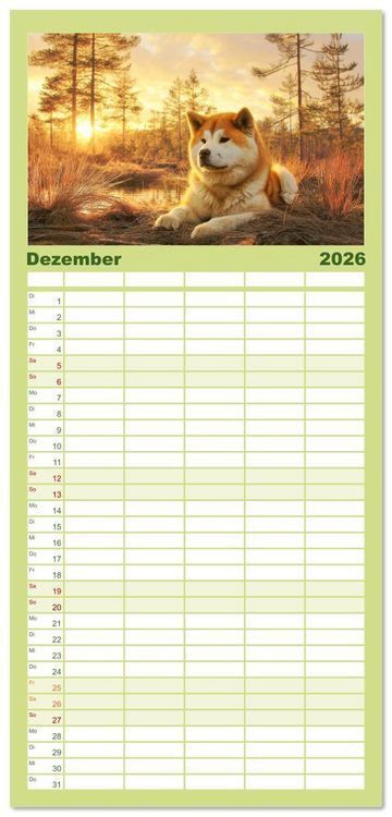Produktbild: Familienplaner 2026 - Akita Inu in der Natur. Japans edle und sanfte Sch&ouml;nheit mit 5 Spalten (Wandkalender, 21 x 45 cm) CALVENDO