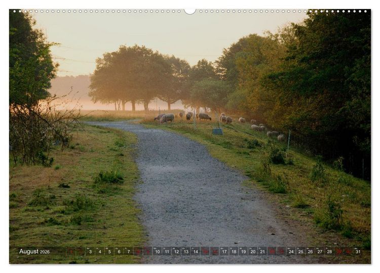 Produktbild: Ruhr-Wiesen (hochwertiger Premium Wandkalender 2026 DIN A2 quer), Kunstdruck in Hochglanz
