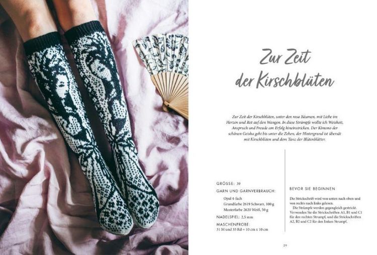 Produktbild: Scandi-Socken stricken