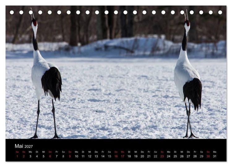 Produktbild: Mandschurenkraniche (Tischkalender 2027 DIN A5 quer), CALVENDO Monatskalender