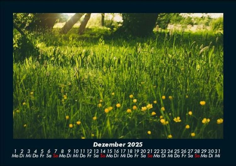 Produktbild: Blumenkalender 2025 Fotokalender DIN A5