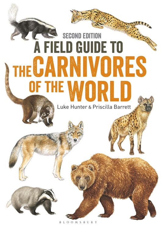 Produktbild: Field Guide to Carnivores of the World, 2nd edition