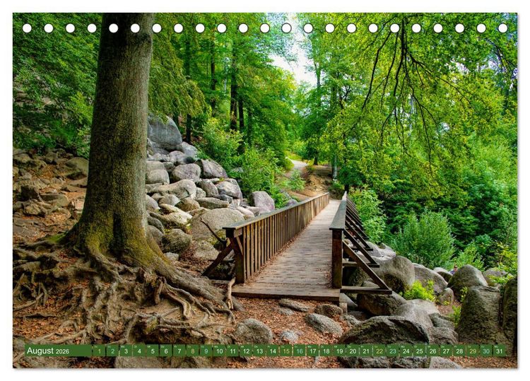 Produktbild: Das Felsenmeer - Natur pur im Odenwald (Tischkalender 2026 DIN A5 quer), CALVENDO Monatskalender