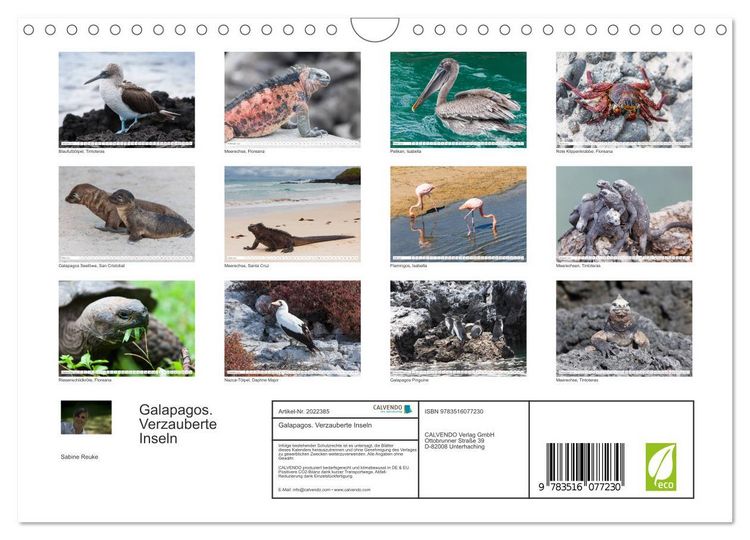 Produktbild: Galapagos. Verzauberte Inseln (Wandkalender 2026 DIN A4 quer), CALVENDO Monatskalender