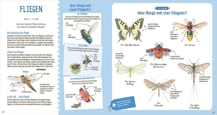 Produktbild: Das gro&szlig;e Buch der kleinen Tiere