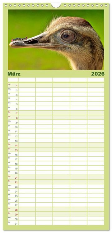 Produktbild: Familienplaner 2026 - Lustig und verr&uuml;ckt - der ganz andere Tierkalender mit 5 Spalten (Wandkalender, 21 x 45 cm) CALVENDO