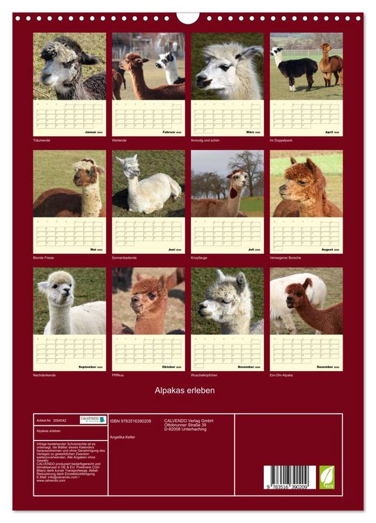 Produktbild: Alpakas erleben (Wandkalender 2026 DIN A3 hoch), CALVENDO Monatskalender