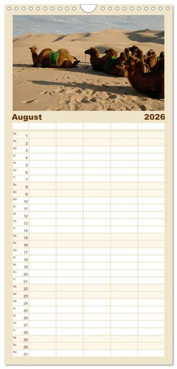 Produktbild: Familienplaner 2026 - W&uuml;ste Gobi mit 5 Spalten (Wandkalender, 21 x 45 cm) CALVENDO
