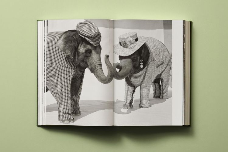 Produktbild: Bruce Weber
