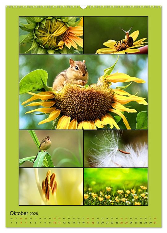 Produktbild: Farbsymphonien der Natur (hochwertiger Premium Wandkalender 2026 DIN A2 hoch), Kunstdruck in Hochglanz