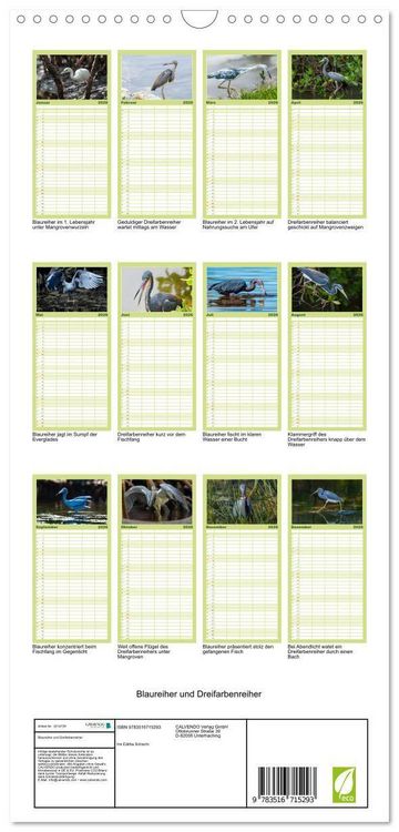 Produktbild: Familienplaner 2026 - Blaureiher und Dreifarbenreiher mit 5 Spalten (Wandkalender, 21 x 45 cm) CALVENDO