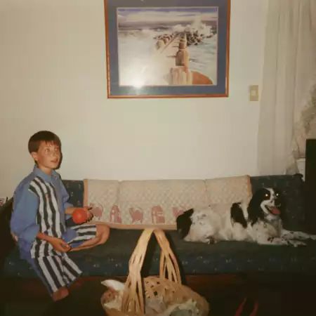 Produktbild: nur liebe,immer.