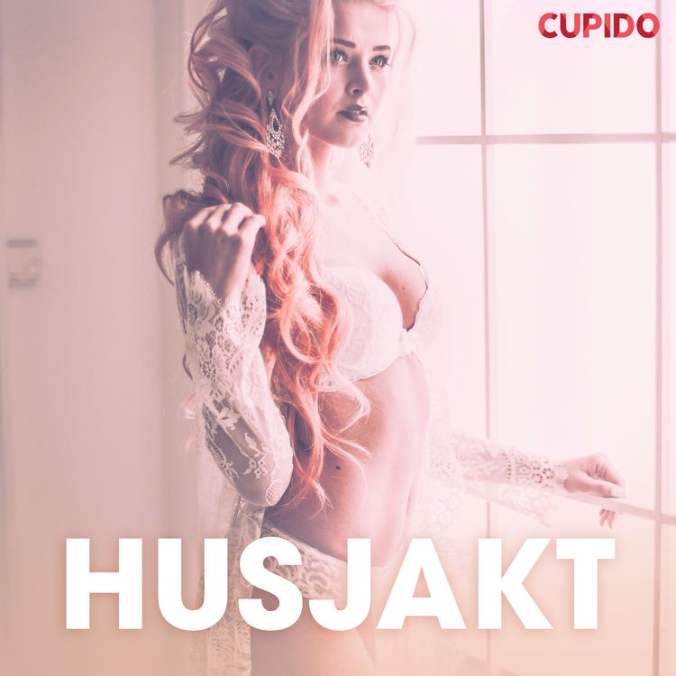 Produktbild: Husjakt - erotiska noveller