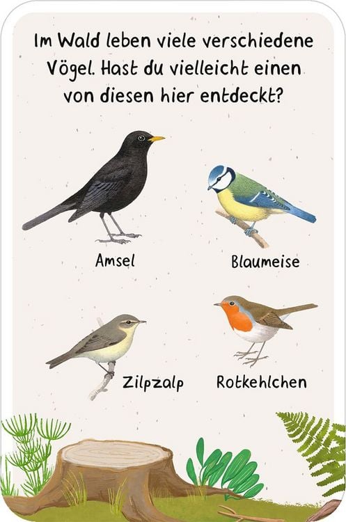 Produktbild: 50 Entdeckerkarten - Suchspiele in der Natur