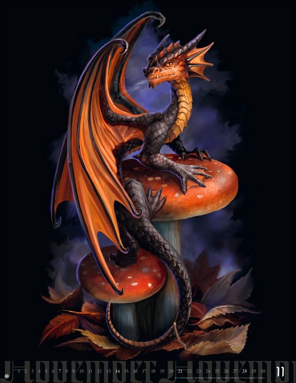 Produktbild: Anne Stokes: Mystic World Posterkalender 2027