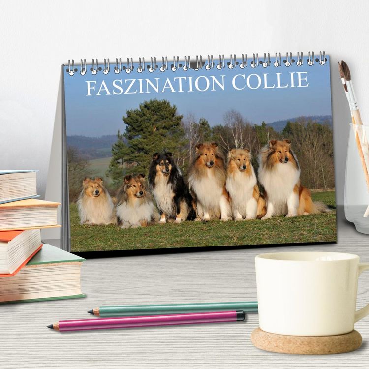 Produktbild: Faszination Collie 2026 (Tischkalender 2026 DIN A5 quer), CALVENDO Monatskalender