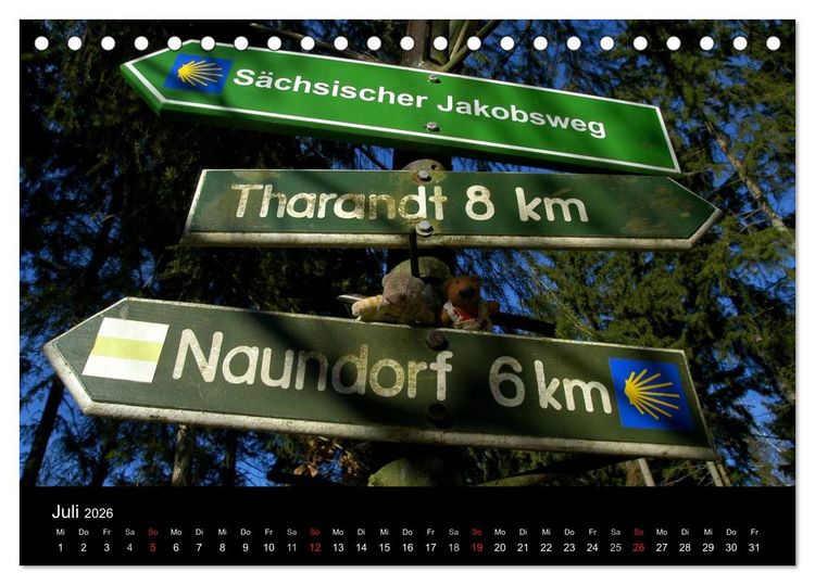 Produktbild: Der B&auml;rchenkalender 2026 (Tischkalender 2026 DIN A5 quer), CALVENDO Monatskalender