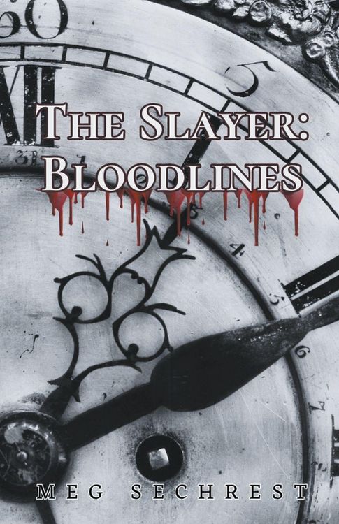 Produktbild: The Slayer