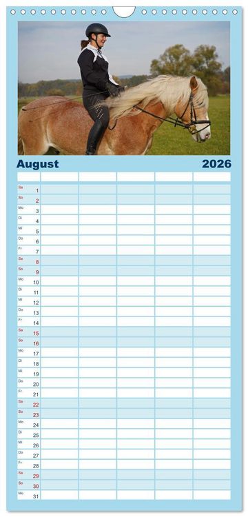 Produktbild: Familienplaner 2026 - Faszination Haflinger mit 5 Spalten (Wandkalender, 21 x 45 cm) CALVENDO