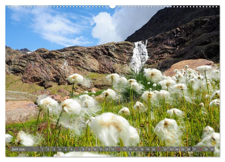 Produktbild: Flora der Alpen (hochwertiger Premium Wandkalender 2026 DIN A2 quer), Kunstdruck in Hochglanz