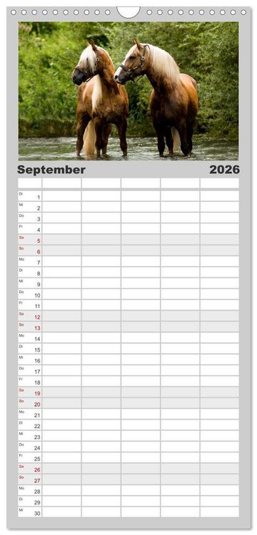 Produktbild: Familienplaner 2026 - Faszination und Vielfalt - Schwarzw&auml;lder Kaltblut mit 5 Spalten (Wandkalender, 21 x 45 cm) CALVENDO