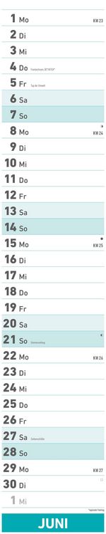 Superplaner 2026 - Streifenkalender 17x85 cm - mit Ringbindung - viel Platz für Notizen - Langplaner - Wandkalender - Küchenkalender - Alpha Edition