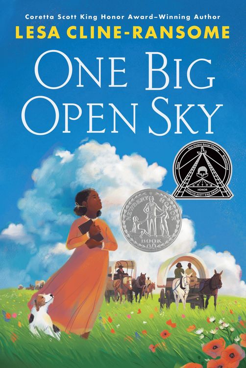 Produktbild: One Big Open Sky