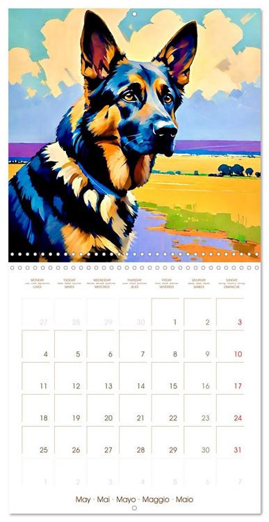 Produktbild: German Shepherd. The majestic character of a noble breed (Wall Calendar 2026 12 &times; 12 Inch) CALVENDO 12 Month Wall Calendar