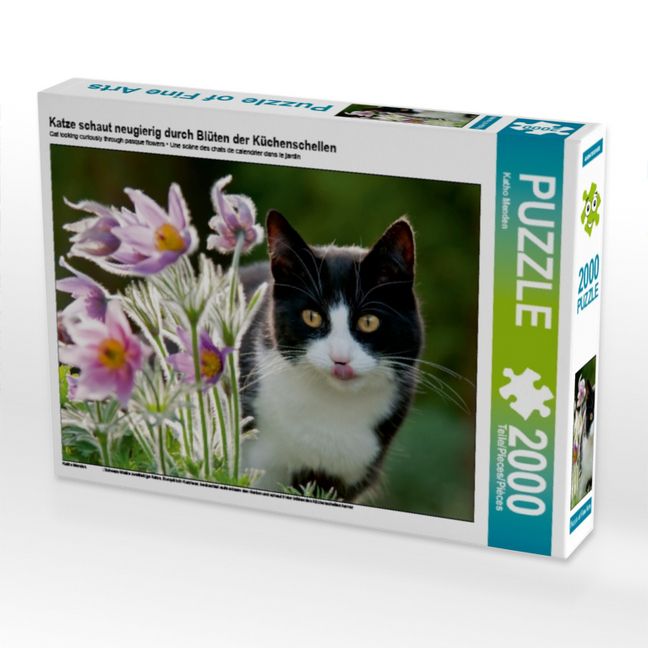 Produktbild: Katze schaut neugierig durch Bl&uuml;ten der K&uuml;chenschellen (Puzzle)