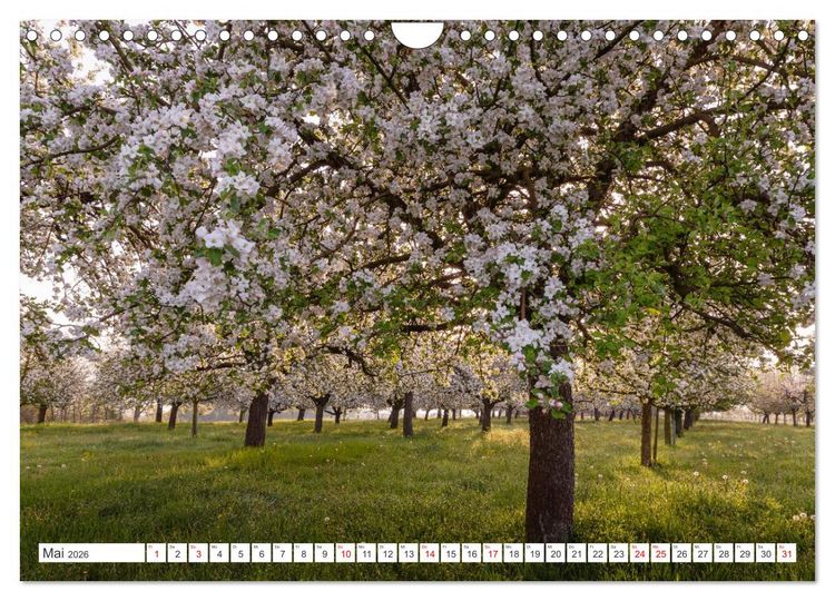 Produktbild: Kanton Thurgau (Wandkalender 2026 DIN A4 quer), CALVENDO Monatskalender