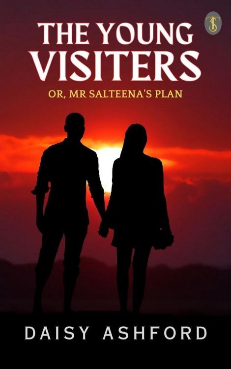 Produktbild: The Young Visiters or, Mr. Salteena's Plan
