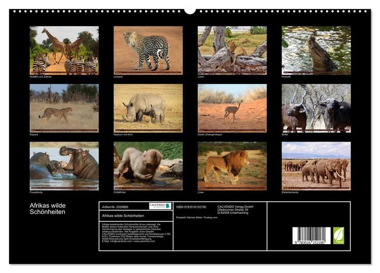 Produktbild: Afrikas wilde Sch&ouml;nheiten (hochwertiger Premium Wandkalender 2026 DIN A2 quer), Kunstdruck in Hochglanz