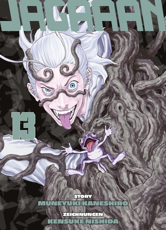 Produktbild: Jagaaan 13