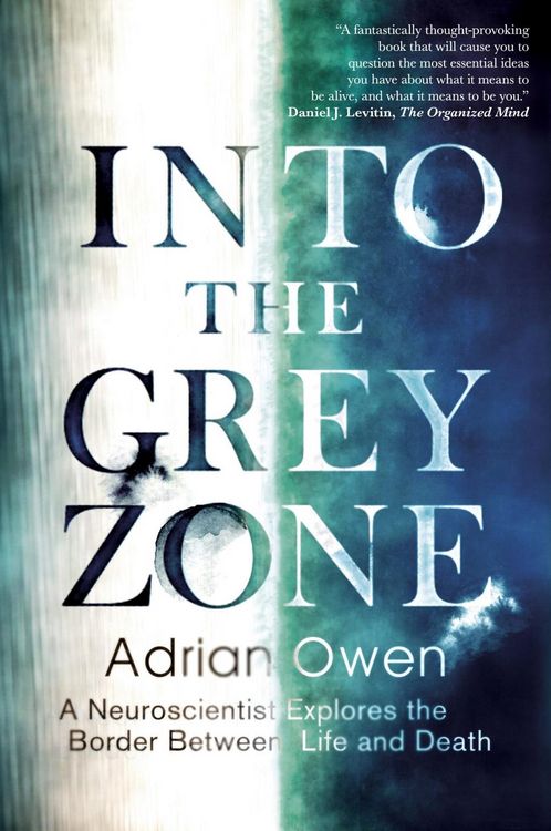 Produktbild: Owen, D: Into the Grey Zone